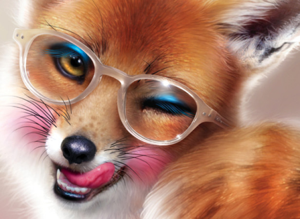 Arn0 / Ted Baker Eyewear Christmas 2011