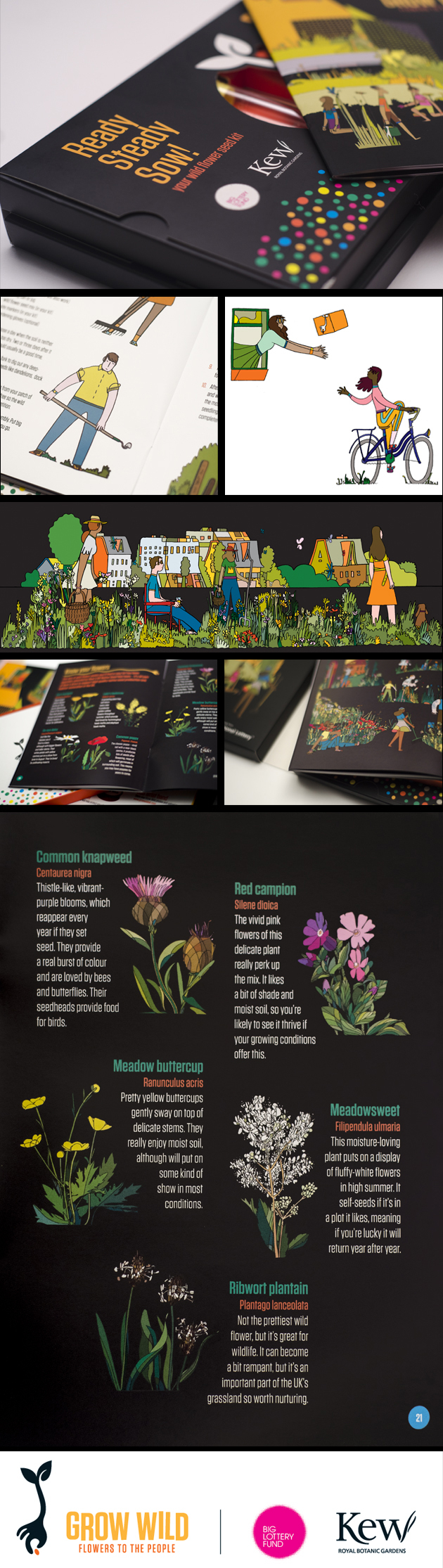 Celyn / Kew Gardens Grow Wild Scheme