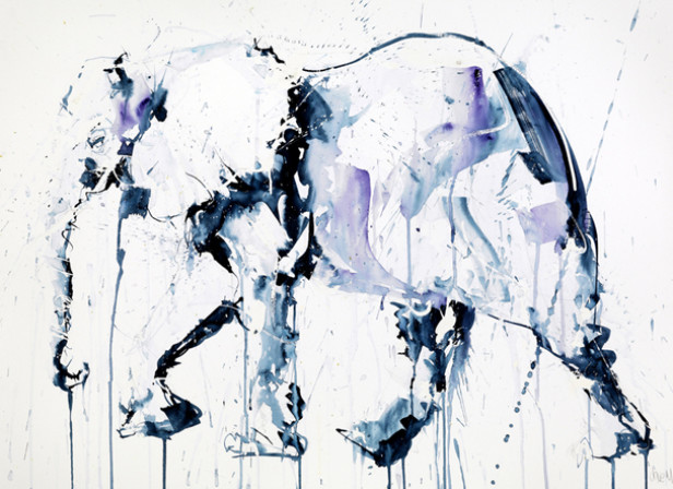 Dave White / Natural Selection Exhibition June 2012