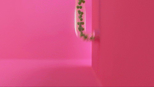 PEAS_16-9_2023_AJ-Jefferies_1080p_25FPS_0m46s_h264_STEREO_AAC_48000Hz_16bit.mp4