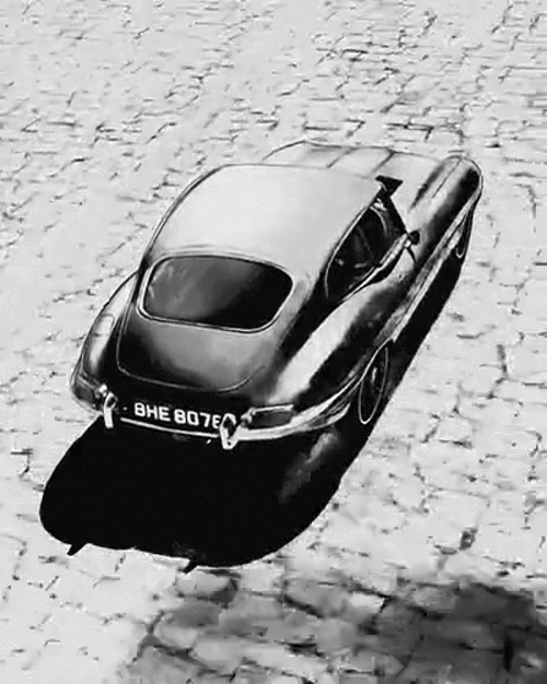 Jaguar.gif