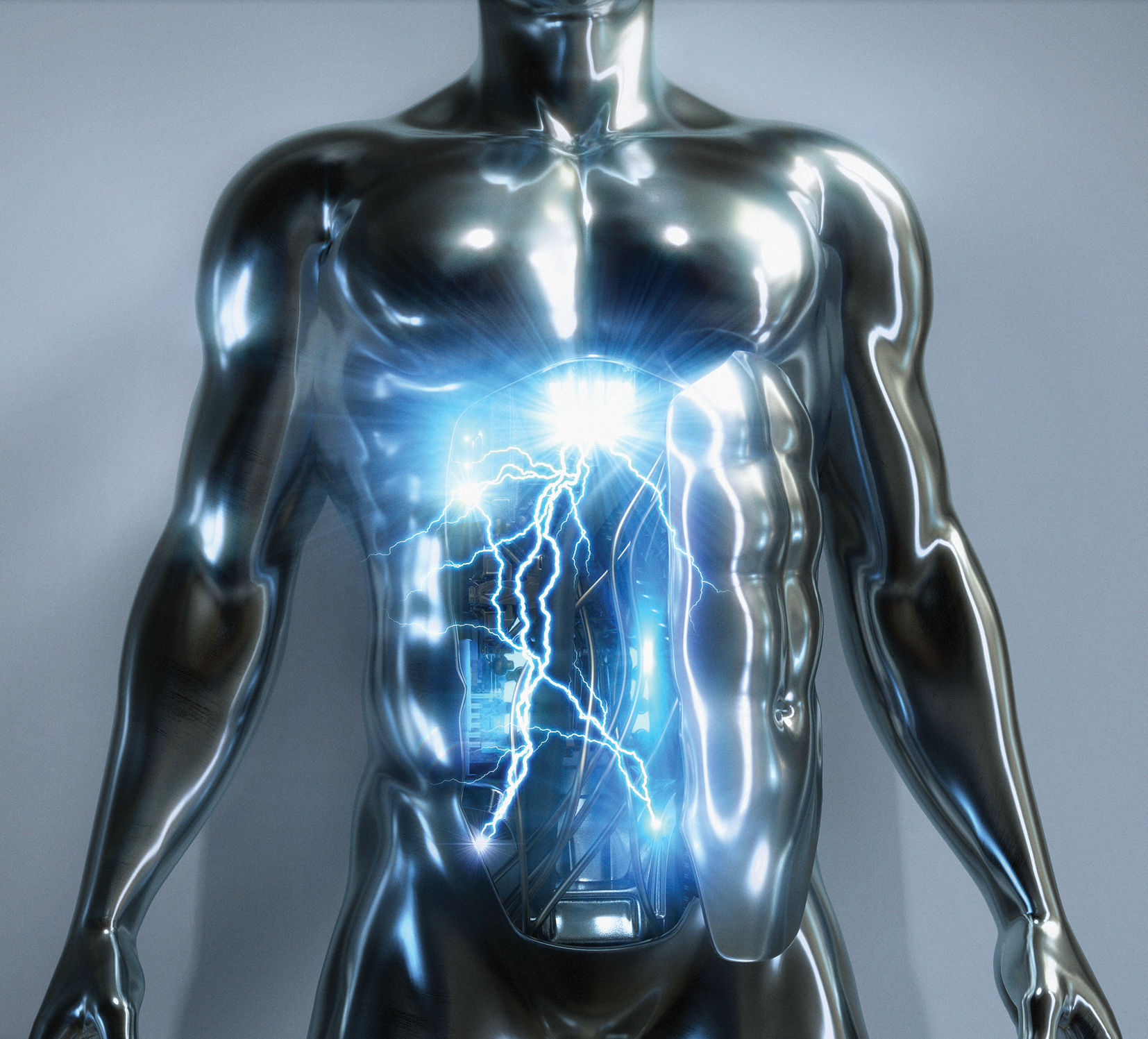 Torso