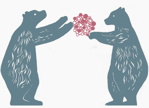 Clever Bears