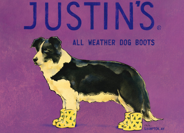 Justin's All Weather Dog Boots