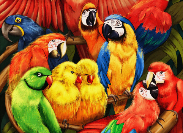 Parrots