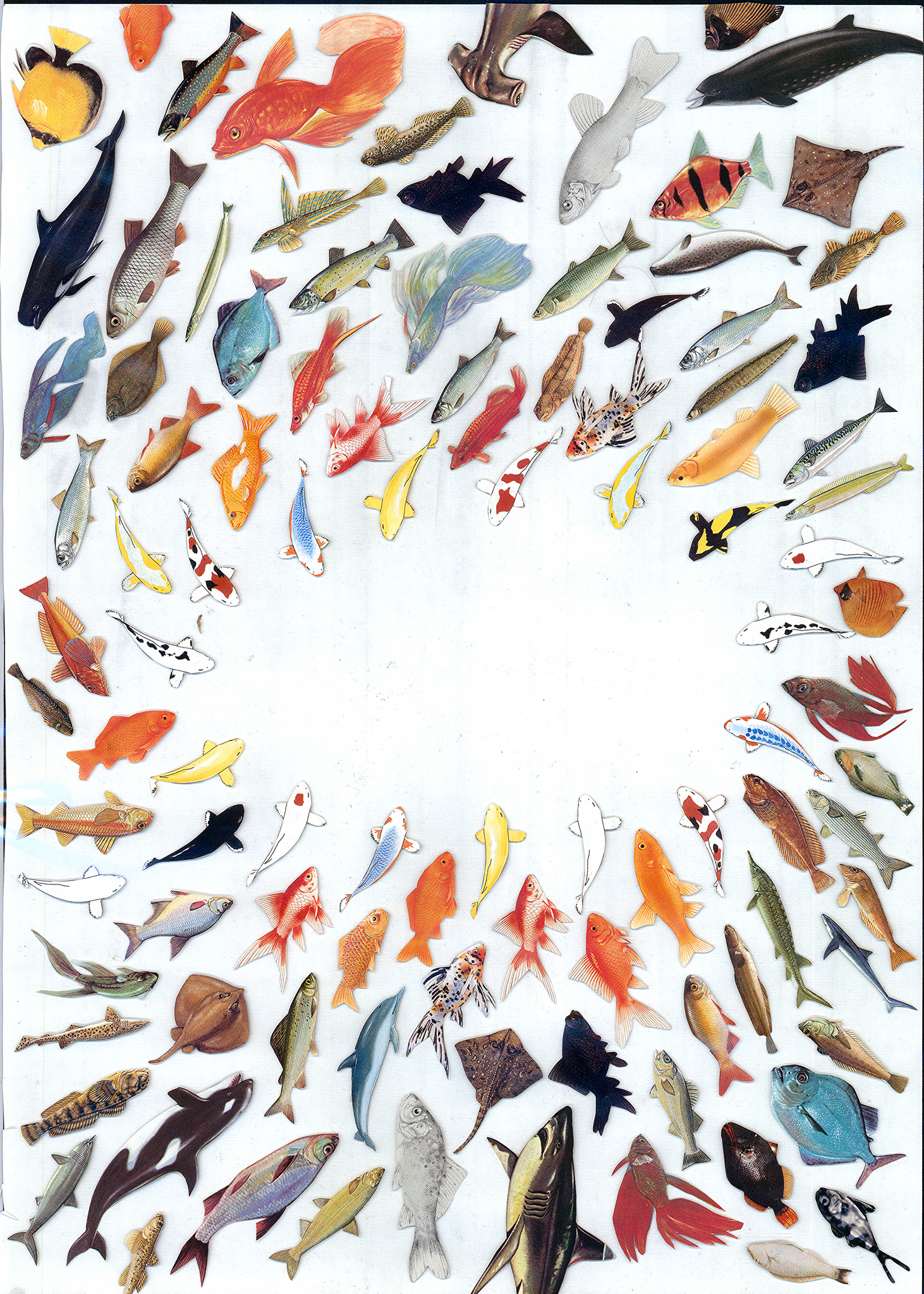 Fish 2014.jpg