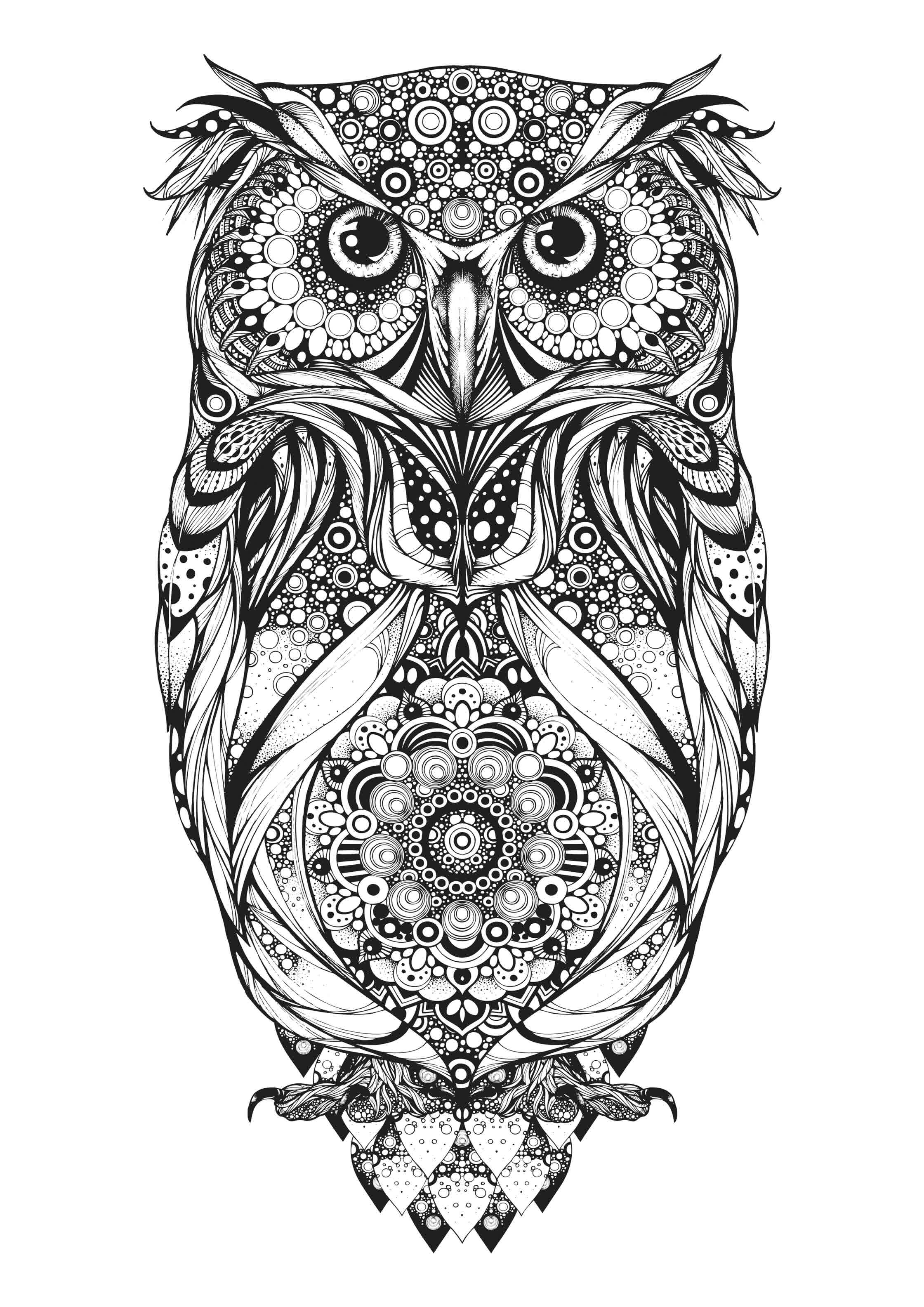 Spotted Eagle Owl_Hoot Watches.jpg