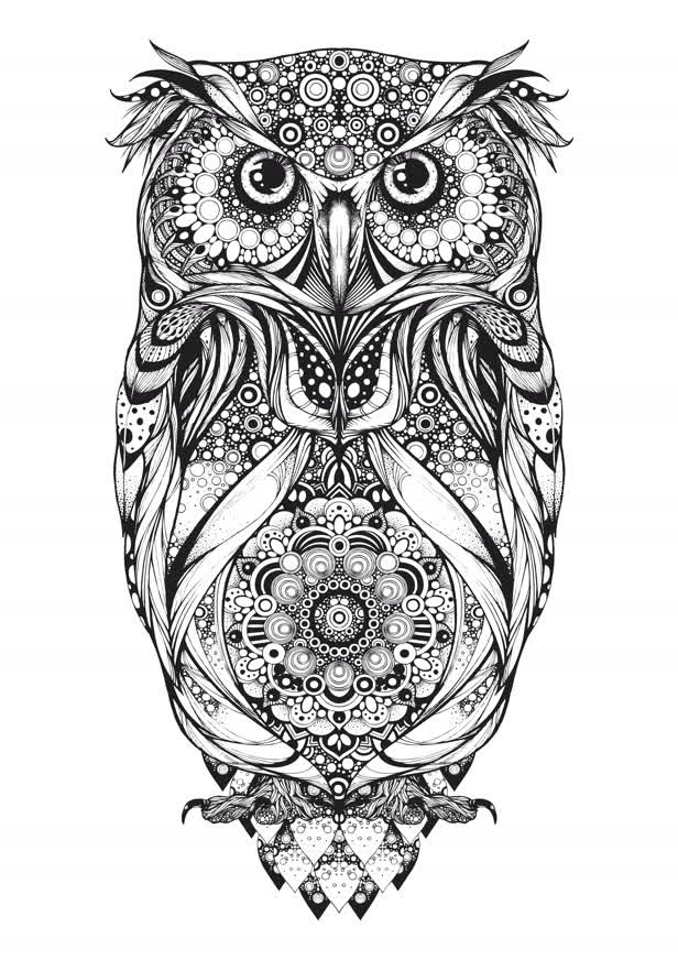 Spotted Eagle Owl / Hoot Watches