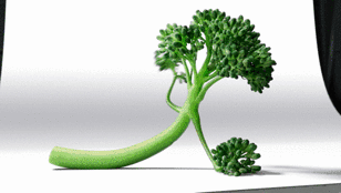 TENDERSTEM_BROCCOLI.mp4