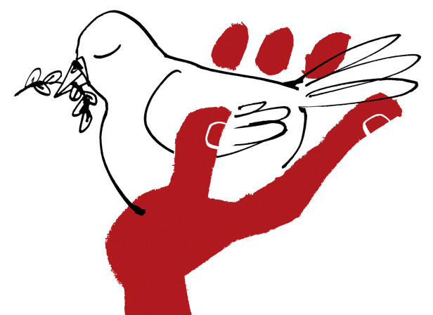 Human Rights Peace Dove Amnesty International