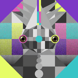animationv1.gif