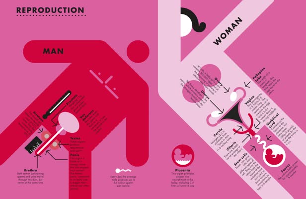 humanbody spread2:big picture pressX.jpg