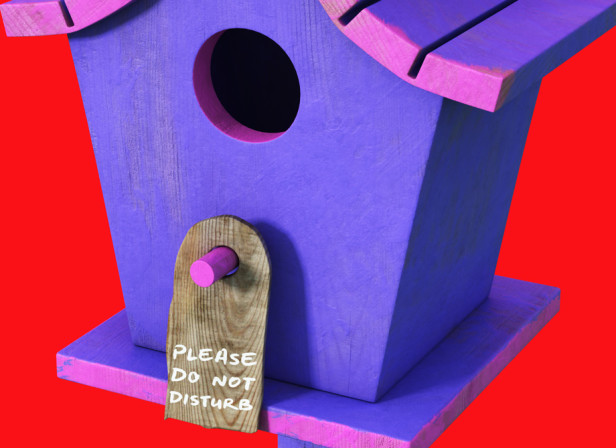 Please Do Not Disturb