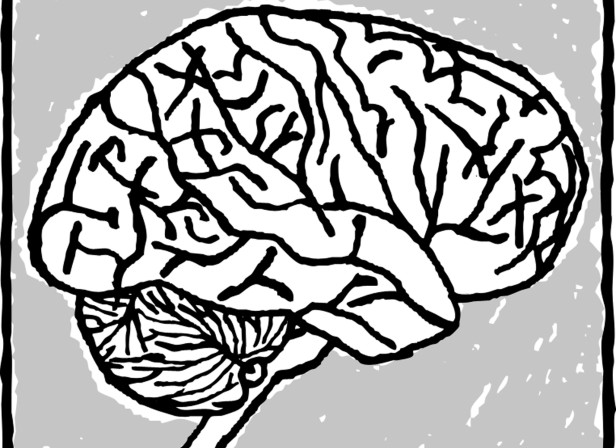 Editorial The Brain