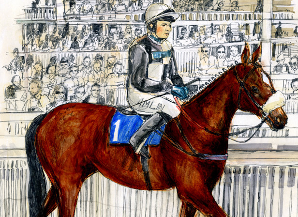 I Hear A Symphony Racehorse / Welsh National Opera