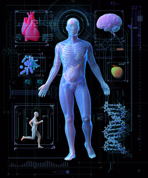 Mind Body Connection / University of Miami
