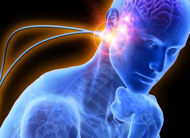 Thinker Cyber Anatomy