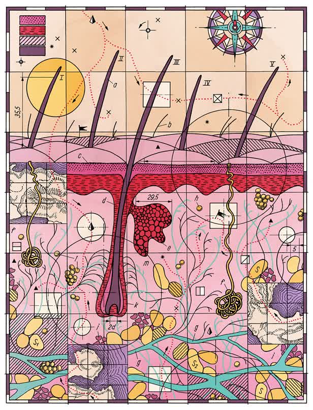 Skini / New Scientist