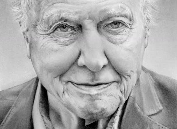 David_Attenborough.jpg