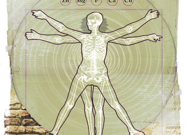 Ostopeorosis Skeleton Vitruvian Woman / Candis Magazine