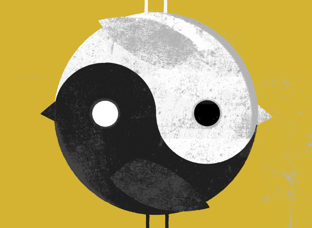 Yin Yang Bird