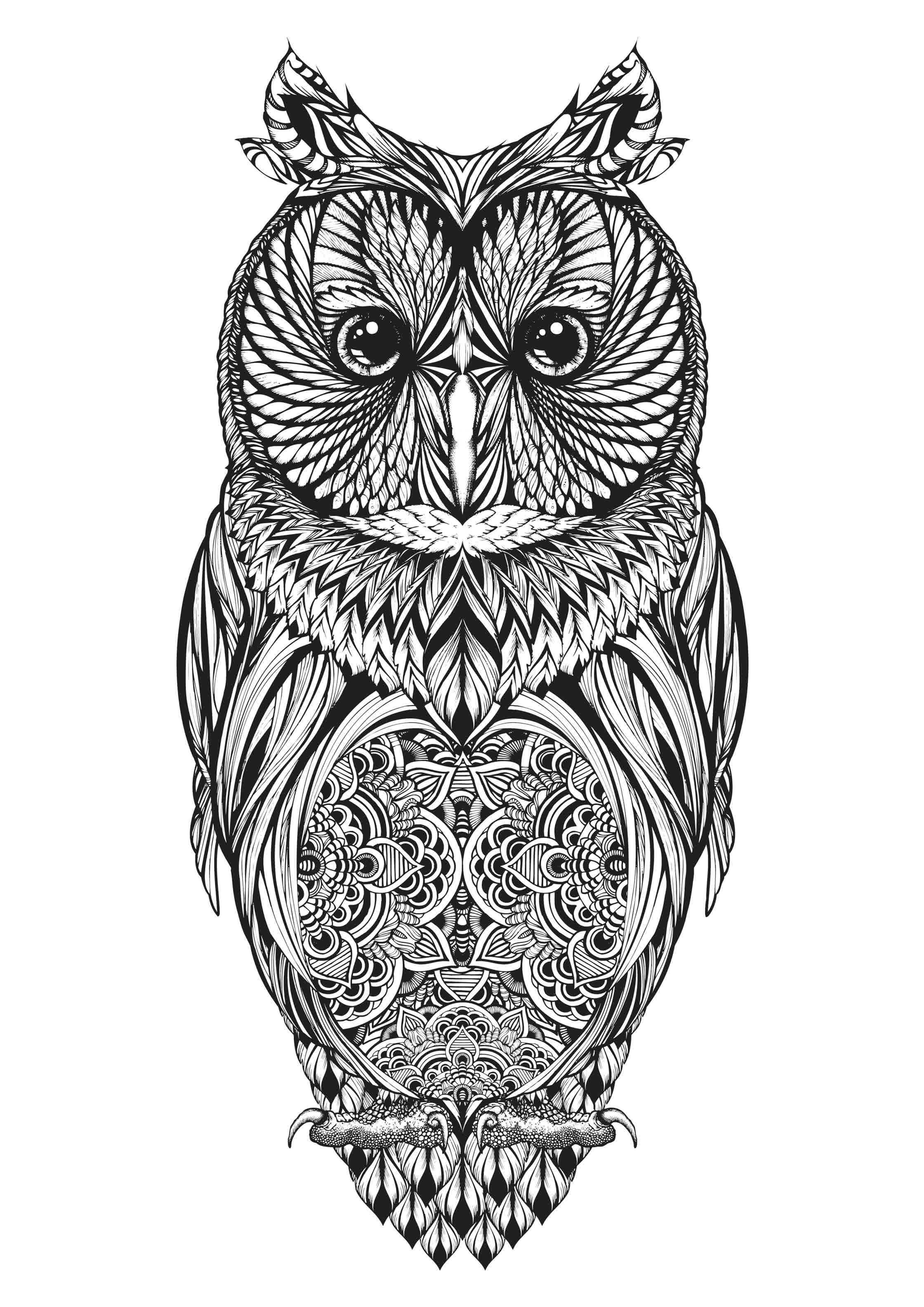 Long Earned Owl_Hoot Watches.jpg