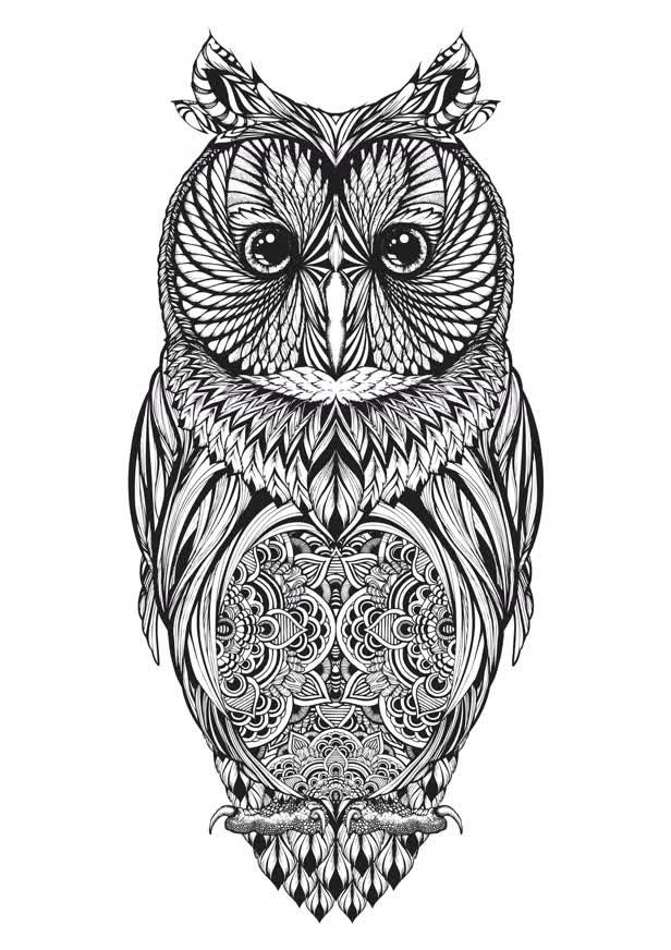 Long Eared Owl / Hoot Watches