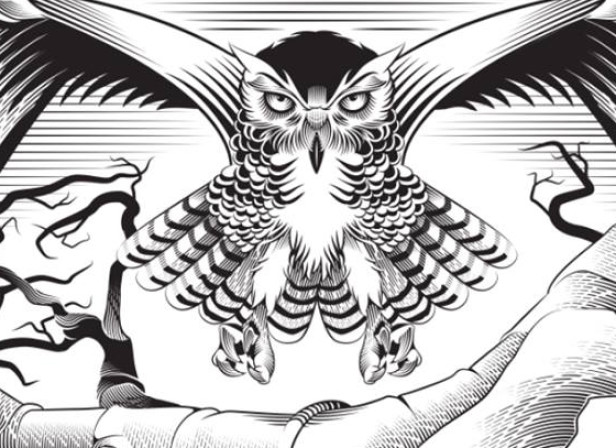 Feathers &amp; Warriors / Baobab Collection