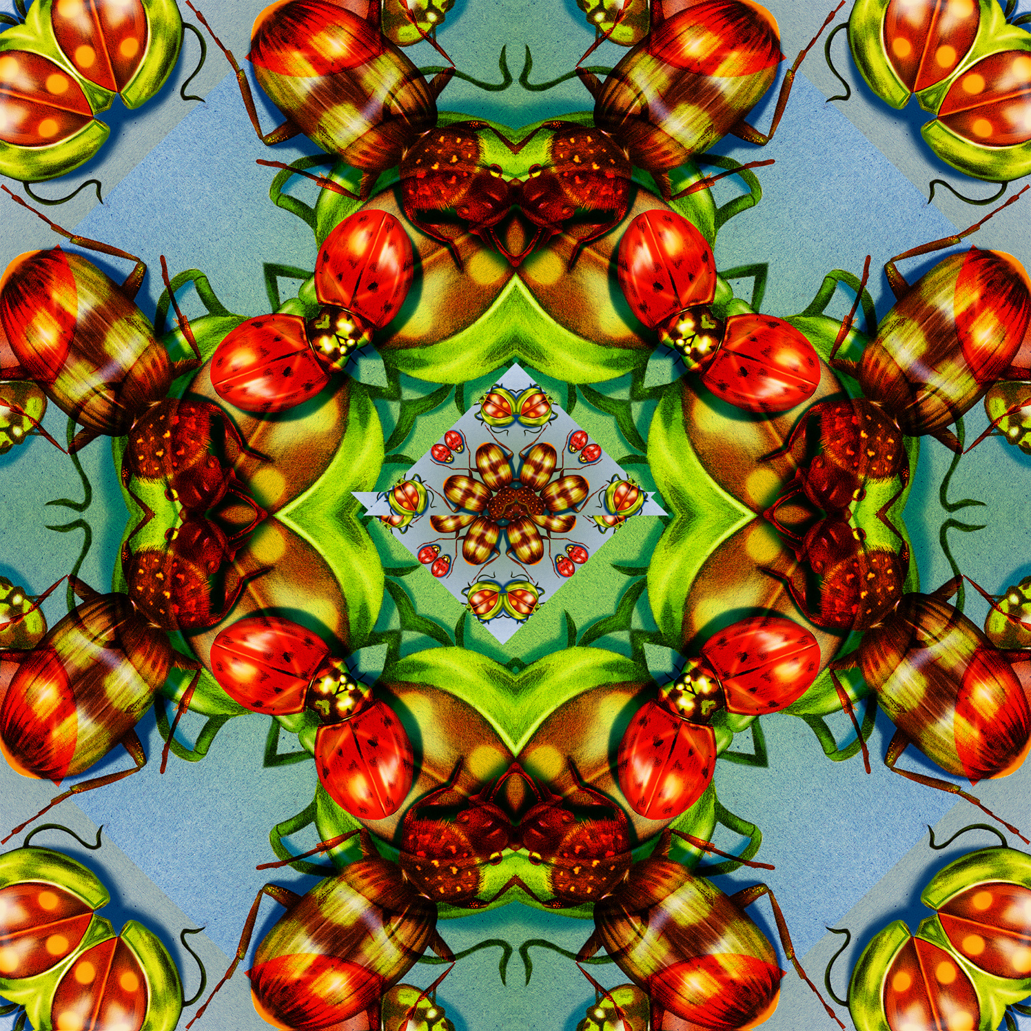 Kaleidescope