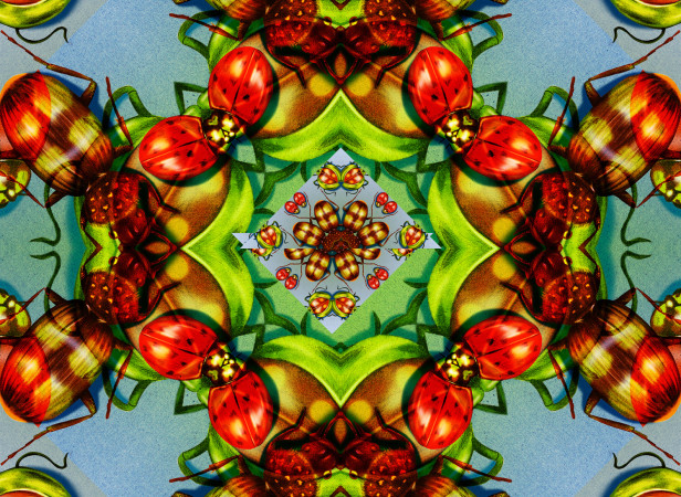 Kaleidescope