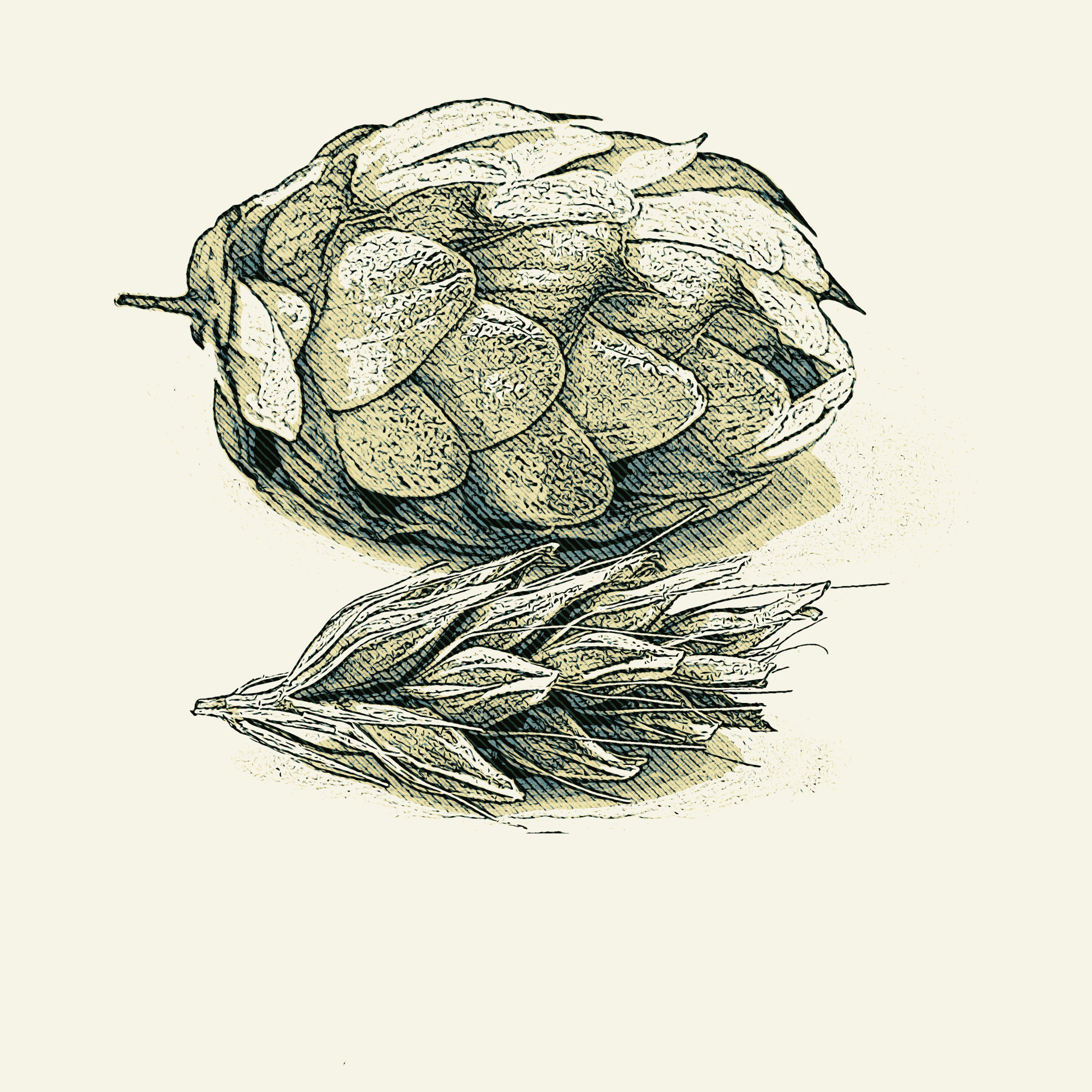 Food_House Hop _ Illustration.jpg