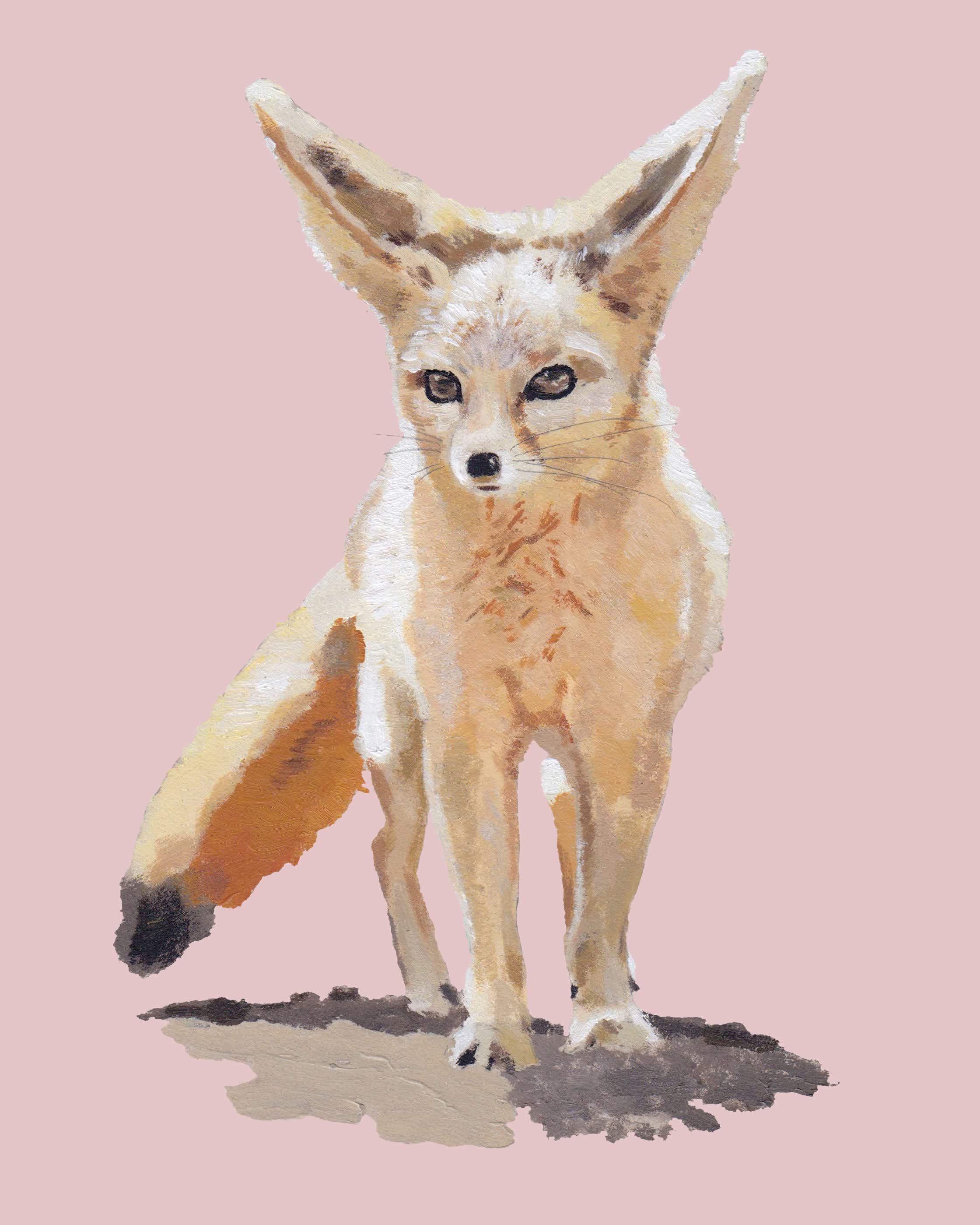 INTEROLL_MAGAZINE_RÜPPELL’S_FOX_ACRYLIC.jpg