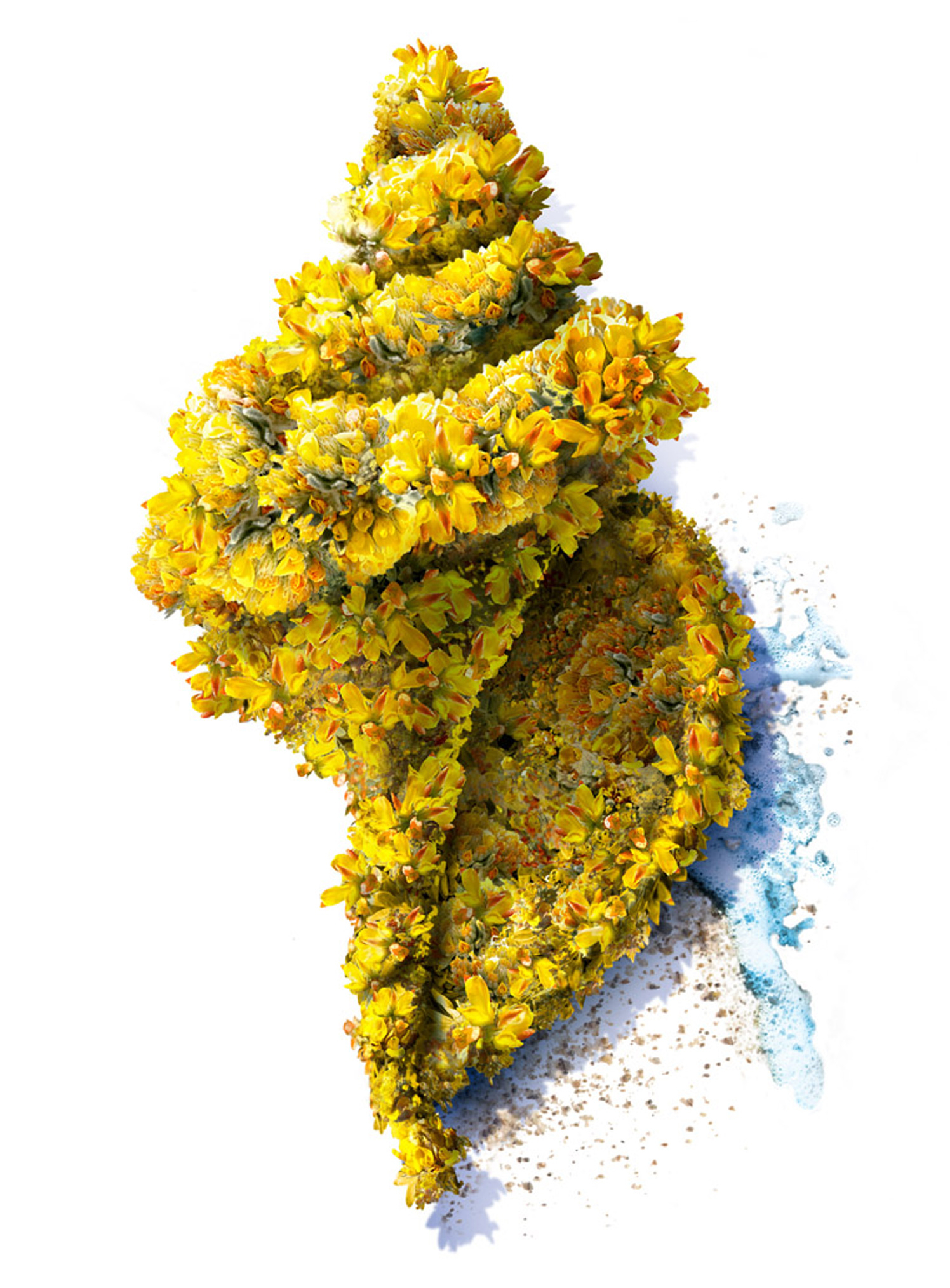 SeaShell / Airwick
