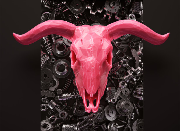 Bull Piston.jpg