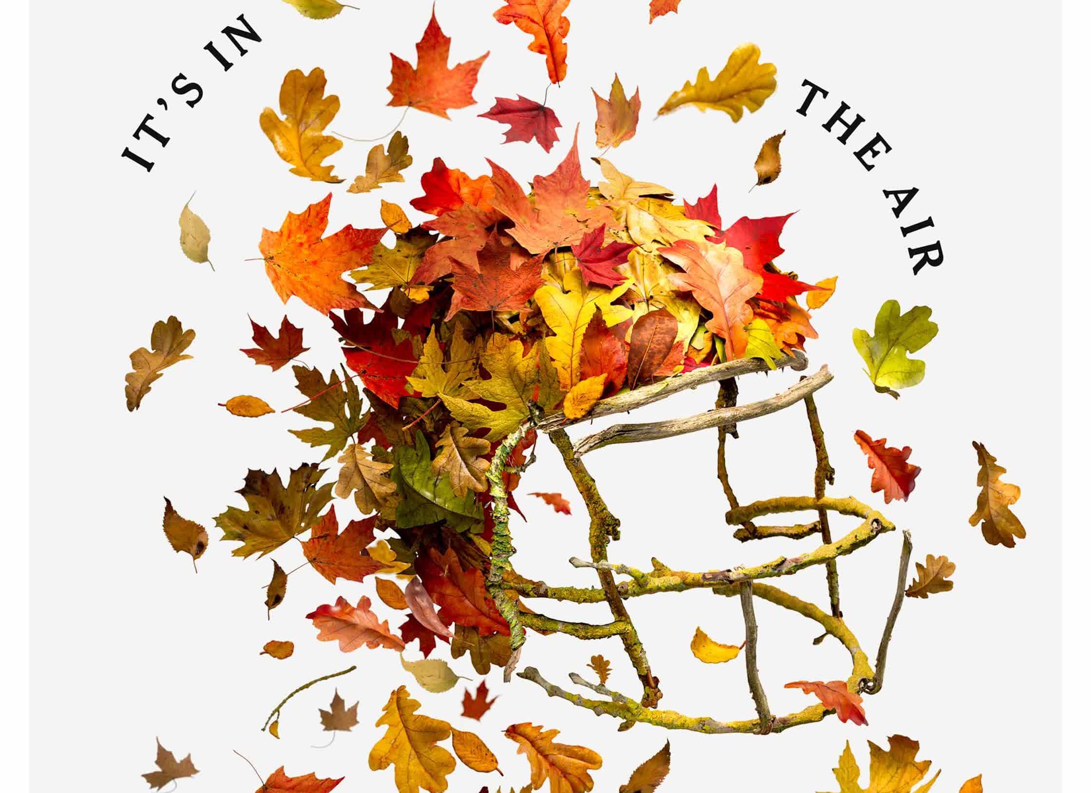 NFL cover final.jpg