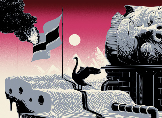 Black Swan 2 / Economia Magazine