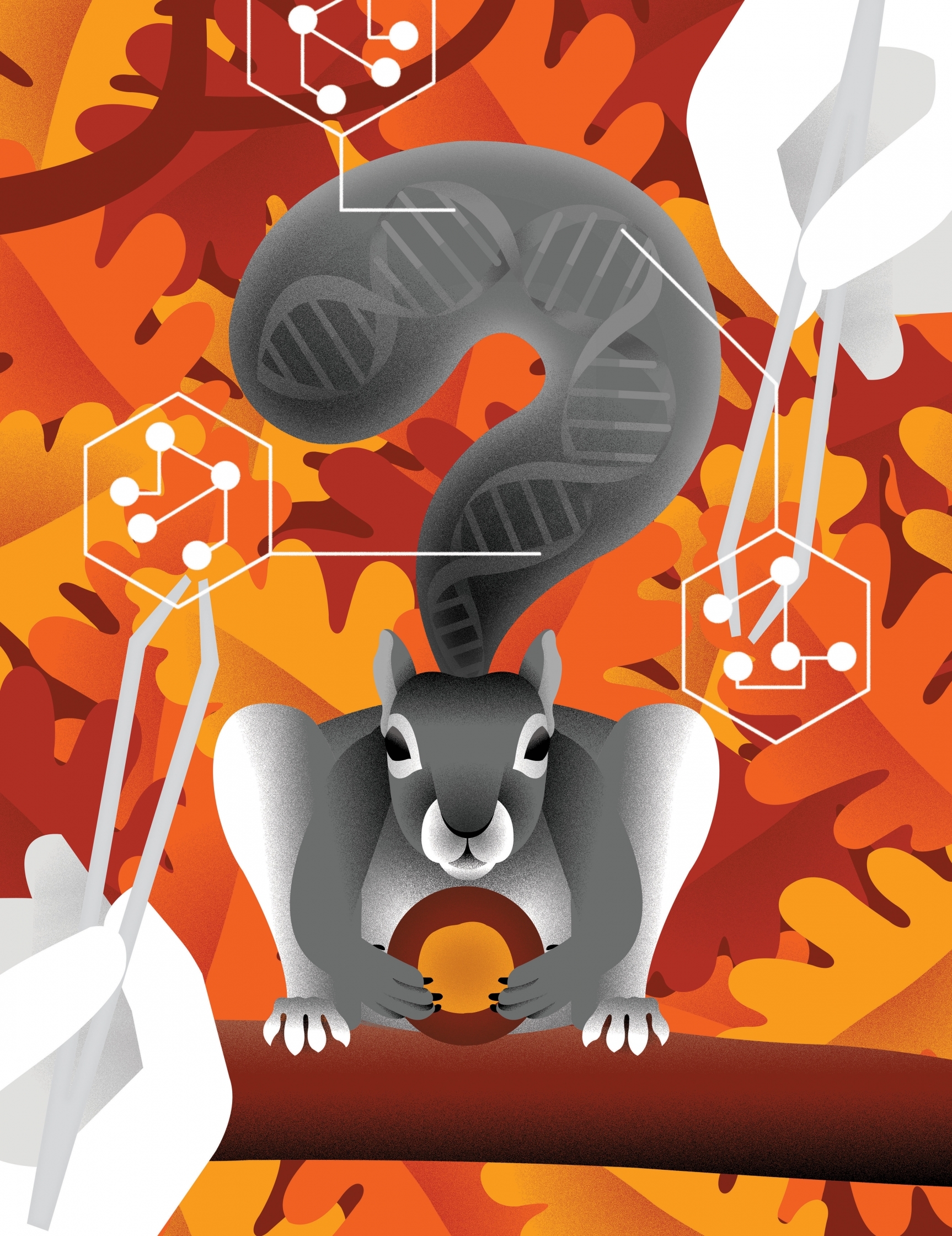 squirrel gene edit ethic..jpg