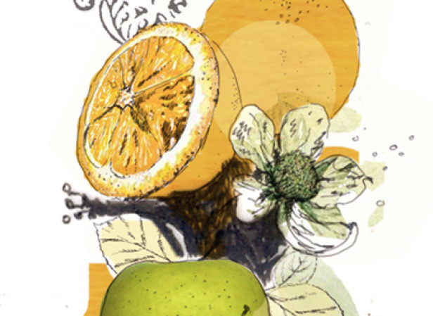 Fruit Ornament