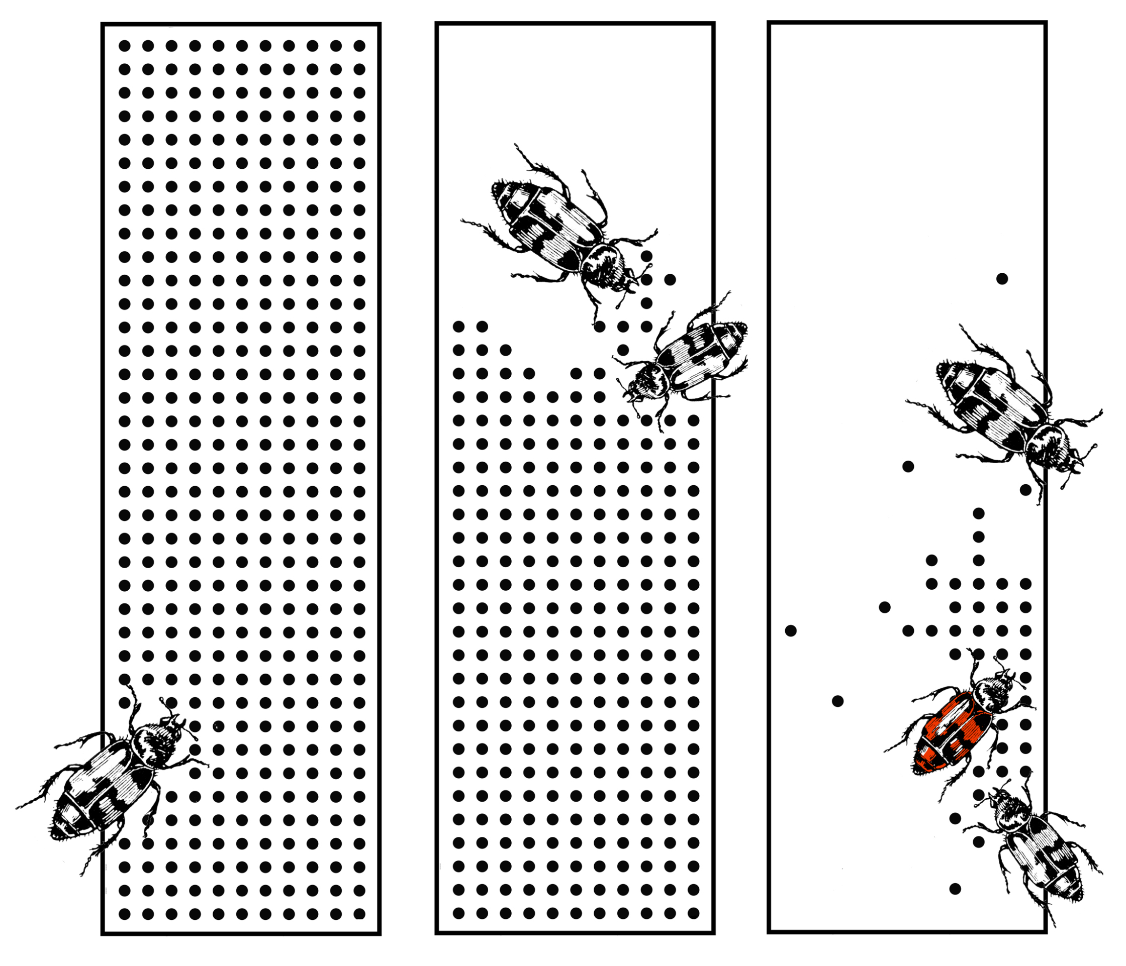 insects.jpg