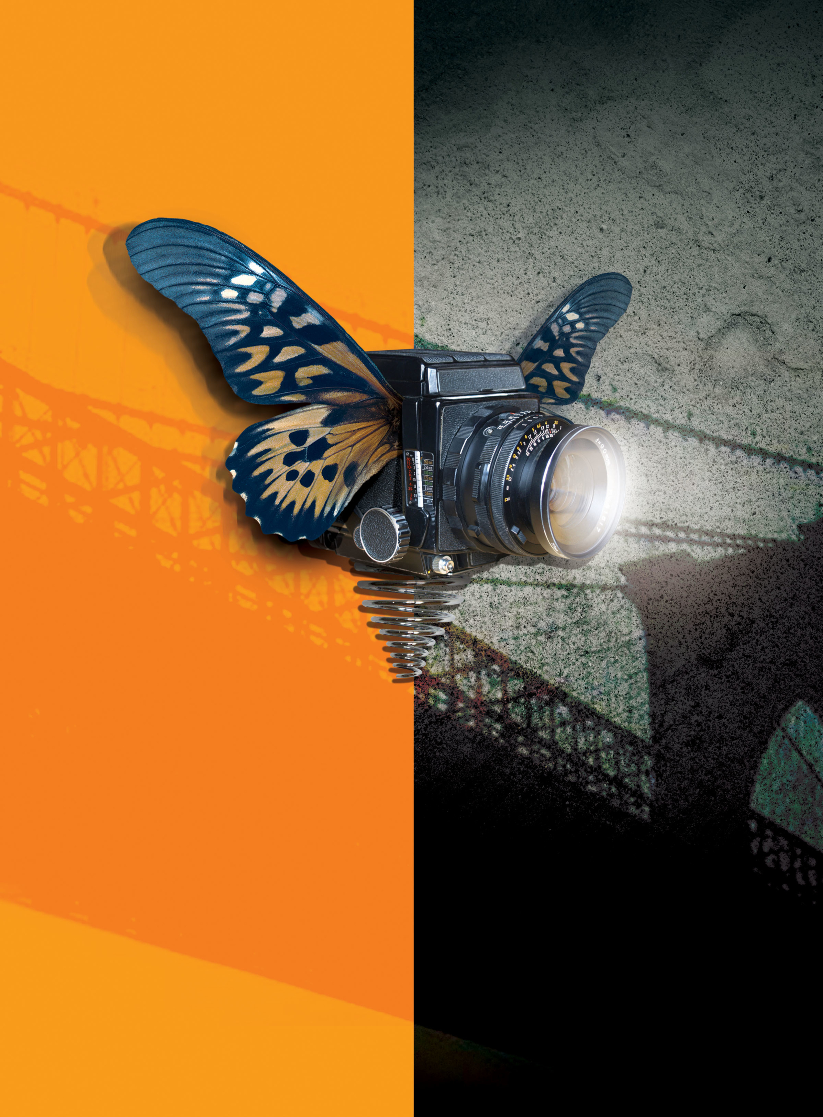 Photoville Festival poster.jpg