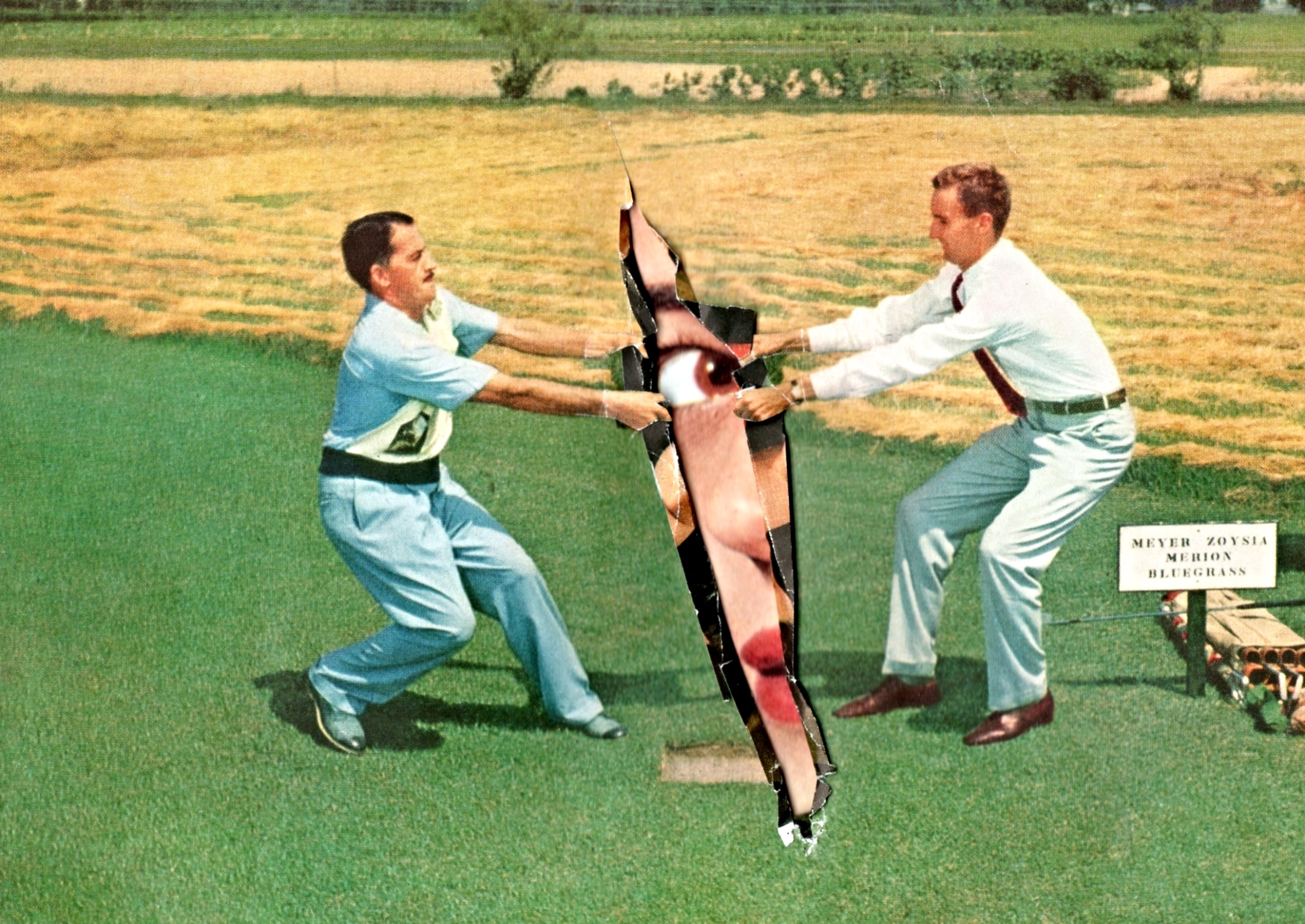Artwork for "Fish Tank" vinyl release.jpg