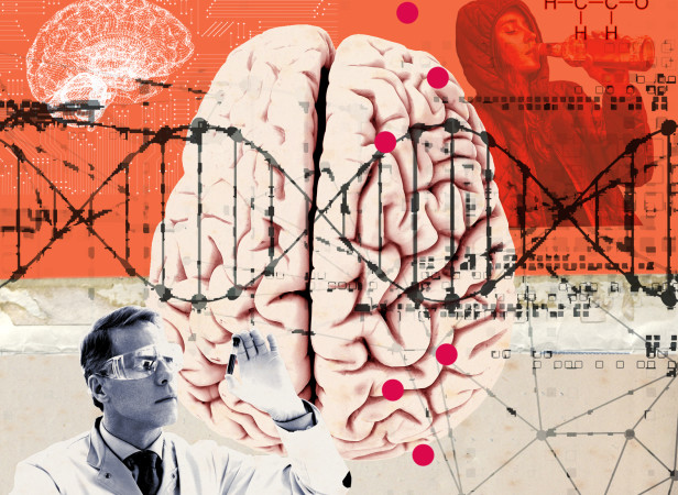 Hanson - Discover Magazine - Genes of Addiction-P3 HRF.jpg