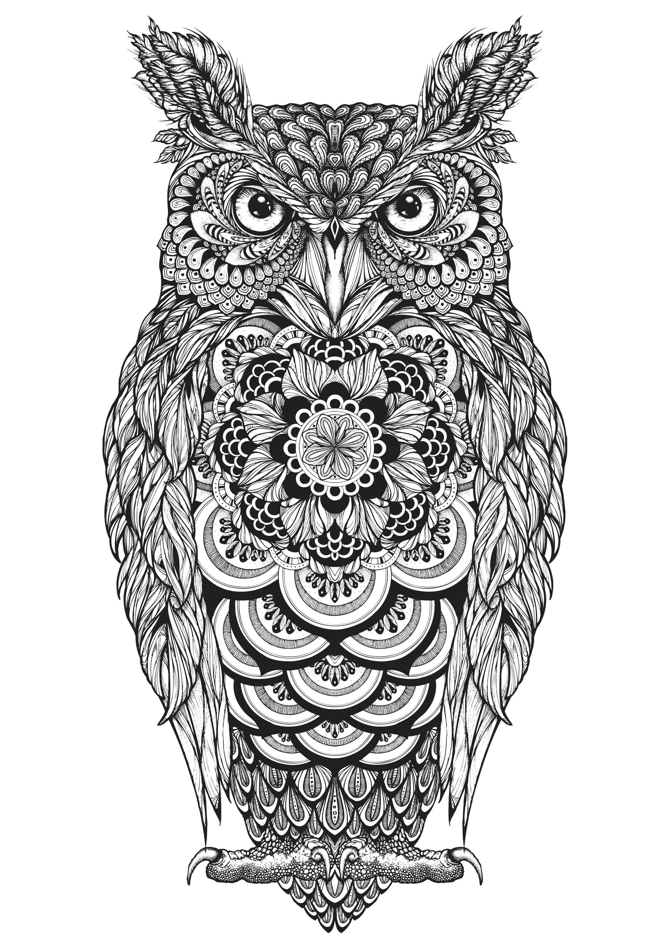 Great Horned Owl_Hoot Watches.jpg