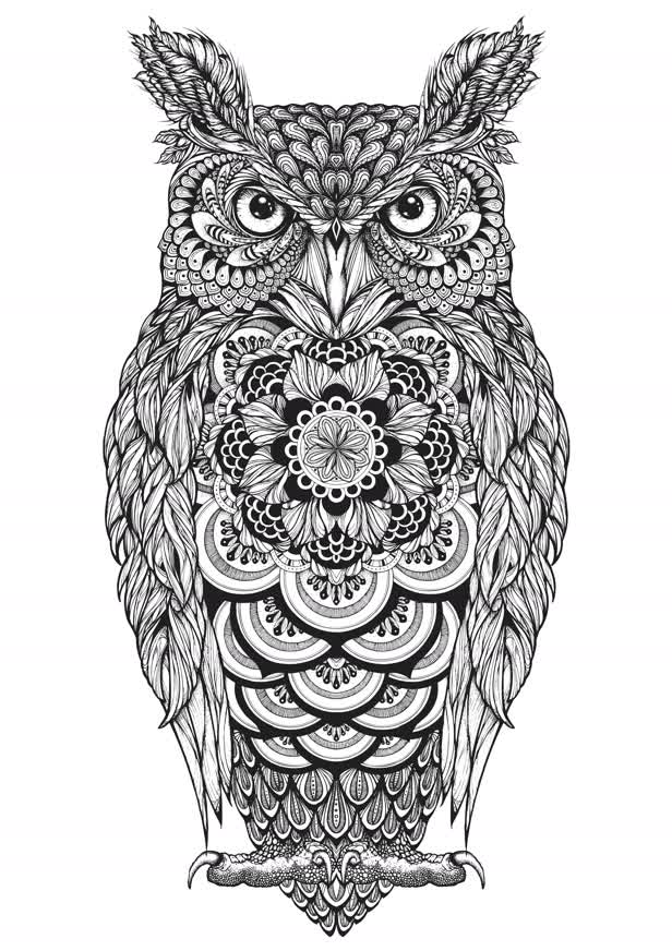 Great Horned Owl / Hoot Watches