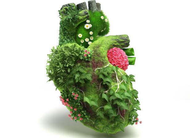 Garden Heart