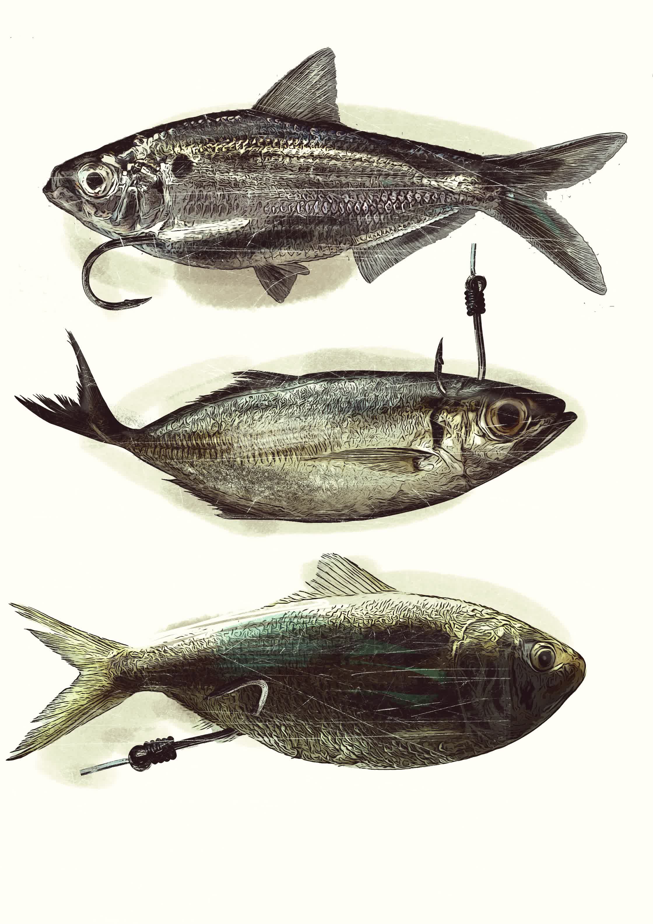 Saltwater magazine 2.jpg