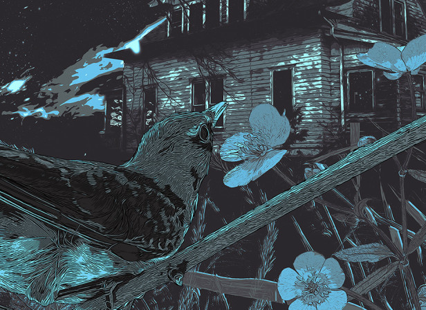 The Visit