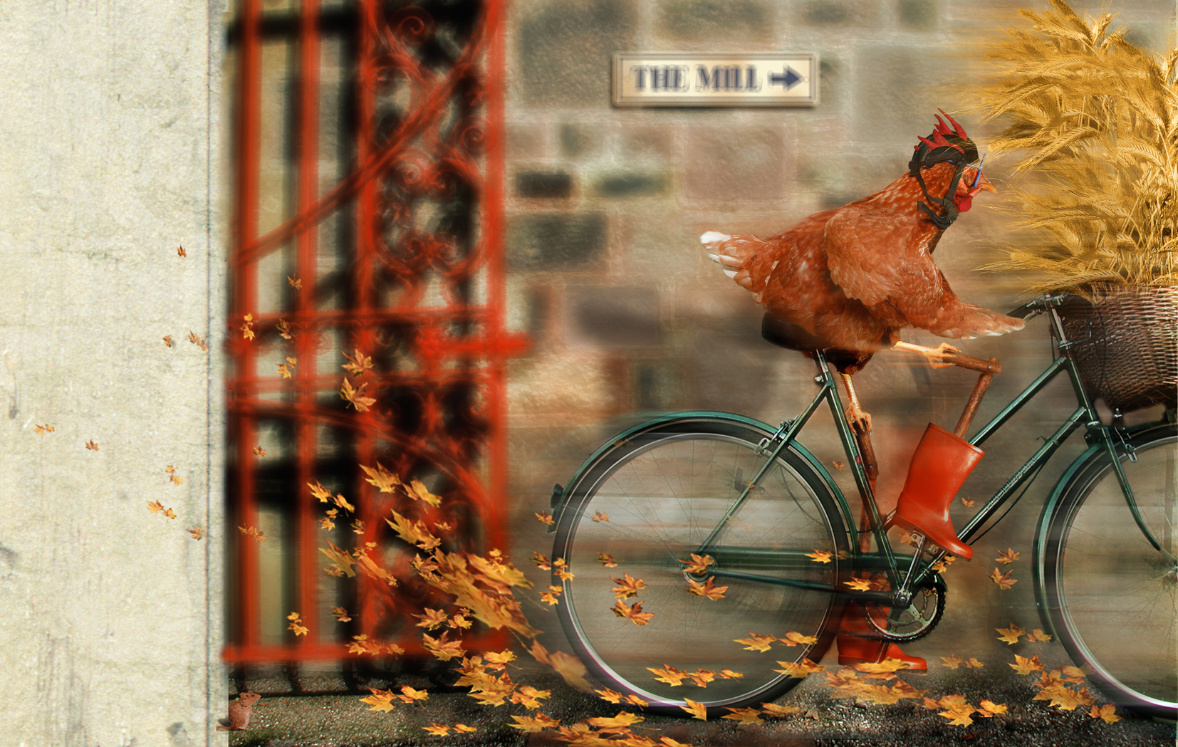 Carla Chicken Children's Book