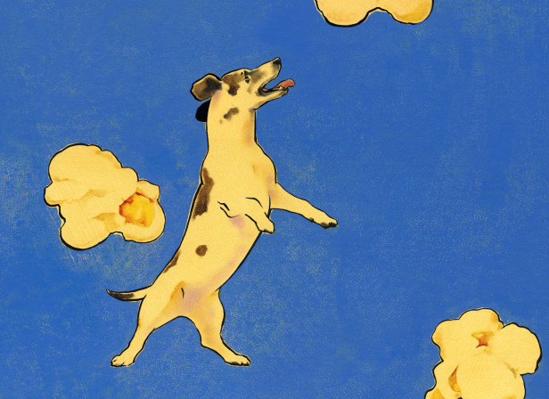 Russel's Popcorn