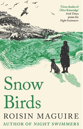 Snowbirds artwork.jpg